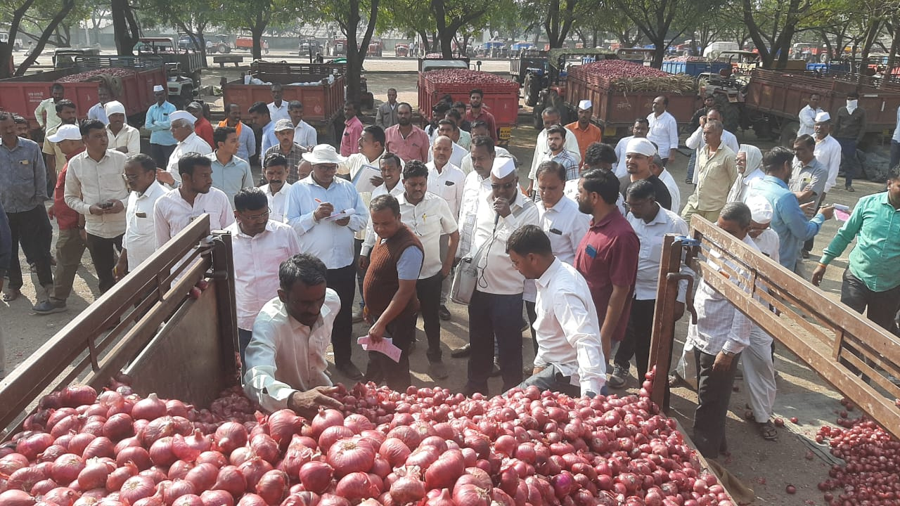 नाफेड, एनसीसीएफचा कांदा खुल्या बाजारात येताच लासलगाव बाजार समितीत कांद्याच्या दरात मोठी घसरण...