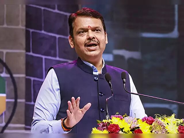 मुख्यमंत्री माझी लाडकी बहीण योजना;  लाभार्थी यादी छाननी बाबत काय म्हणाले मुख्यमंत्री ?