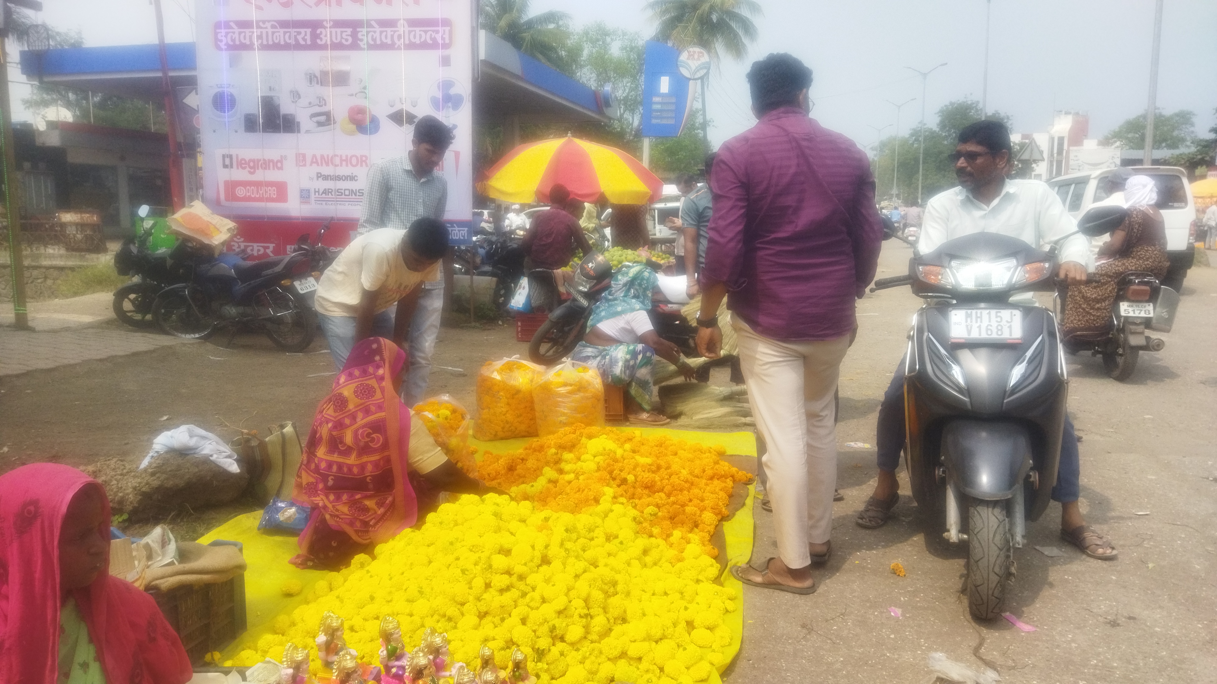 दिवाळीच्या दिवशी अवघा वीस रुपये किलो भाव, झेंडू दर कोसळल्याने शेतकऱ्यांचे दिवाळीचे स्वप्न भंगले