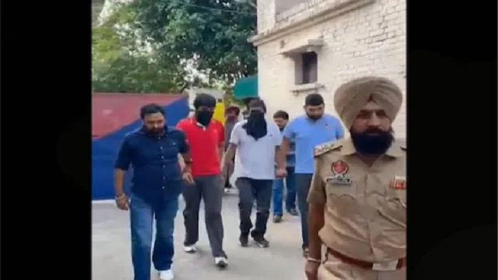 कुस्ती क्षेत्रात खळबळ, 'महाराष्ट्र केसरी' विजेता पैलवान सिकंदर शेखला अटक, नेमकं प्रकरण काय ?