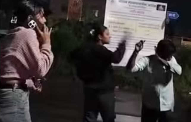 नाशिकच्या सिडको परिसरात मद्यधुंद तरुणींचा धिंगाणा; कॉलर पकडून एकाला चोपलं अन पुढे...
