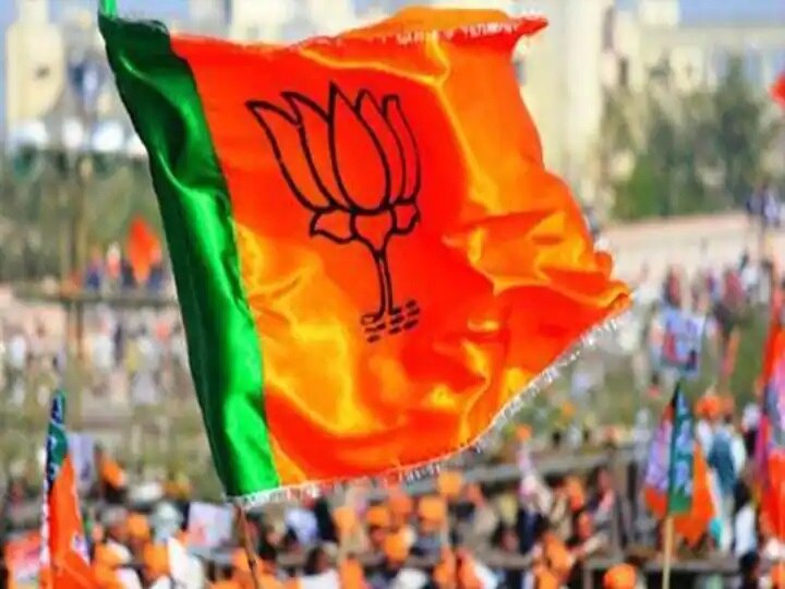 मोठी बातमी !  भाजपच्या ''या'' बड्या नेत्याकडून निवृत्तीचे संकेत