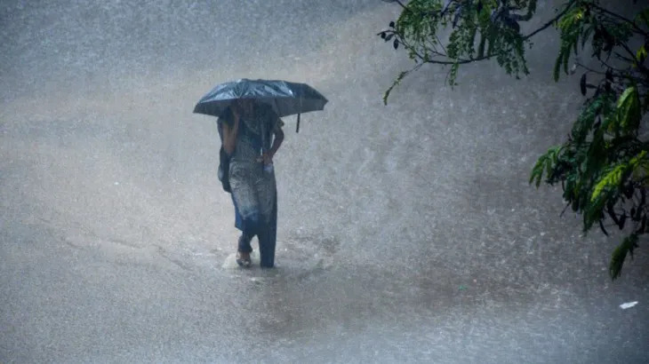 राज्यात  पुन्हा पावसाचा जोर वाढणार! राज्यातील 'या' जिल्ह्यांसाठी IMD चा इशारा